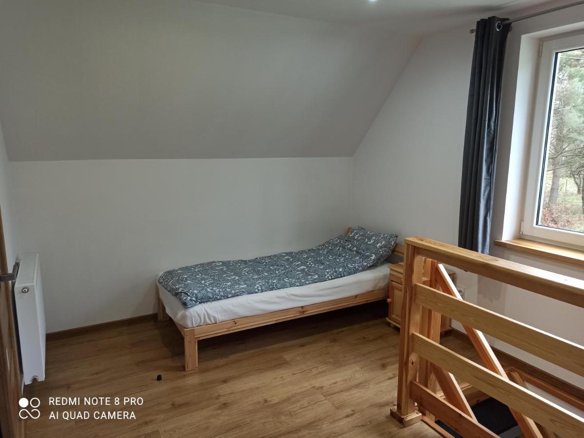 Apartameny Wiktoria I Nikola W Karwiku 皮什 外观 照片